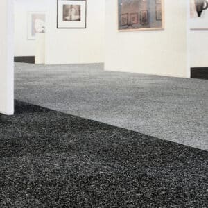 Desso Lita heavy contract commercial Carpet Tiles