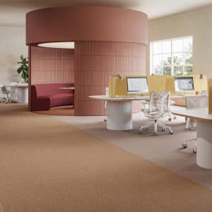 Desso Evolve