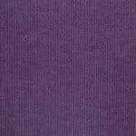 11874 lilac iris
