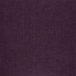 12184 violet (australian violet)